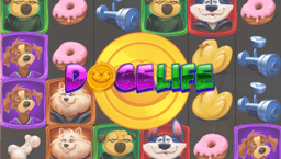 logo Doge Life