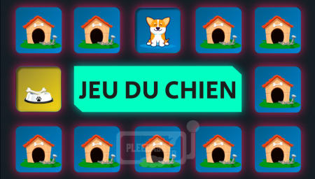 Jeu du chien Casinozer