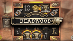 logo Deadwood Xnudge