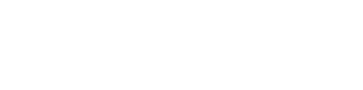 logo Flush