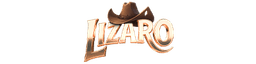 logo Lizaro